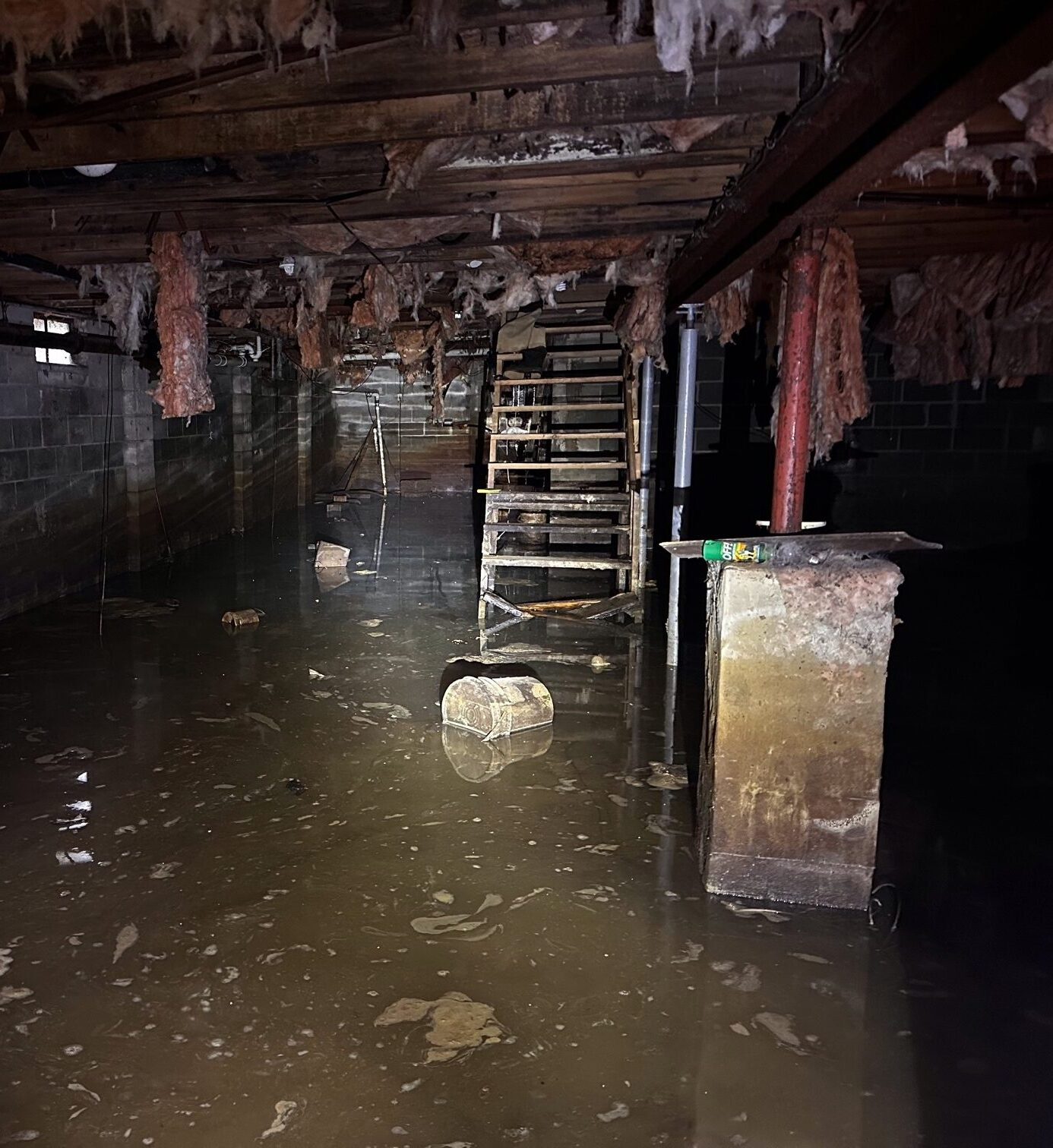 Willis Michigan - basement flooded with mold growth