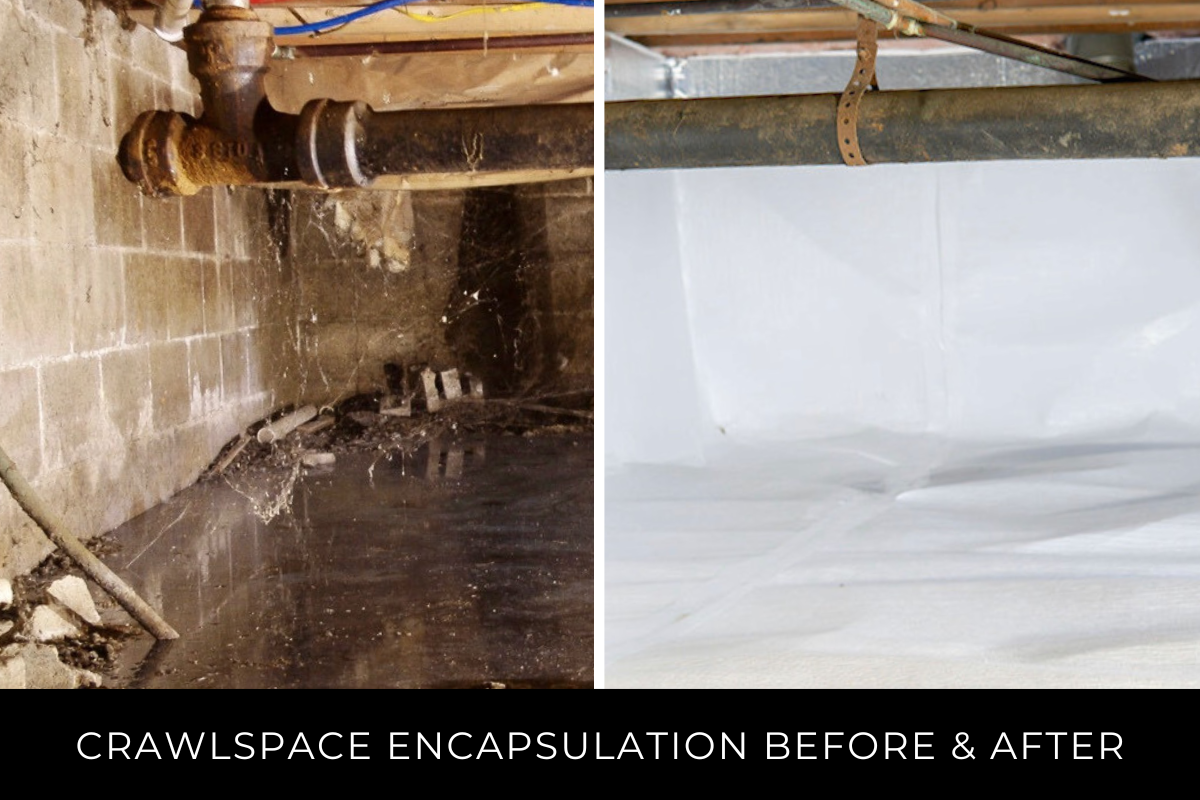crawlspace encapsulation before and after