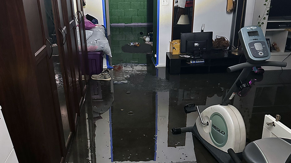 basement wet
