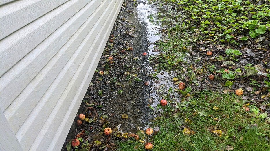 rain near foundation