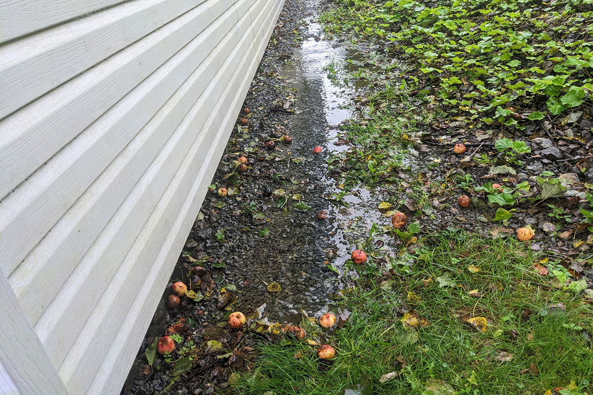 How Water Gets Into Your Basement