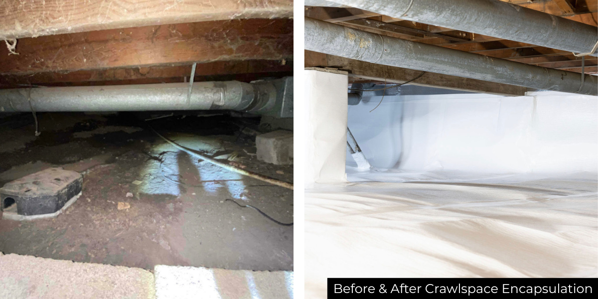 before and after crawlspace encapsulation
