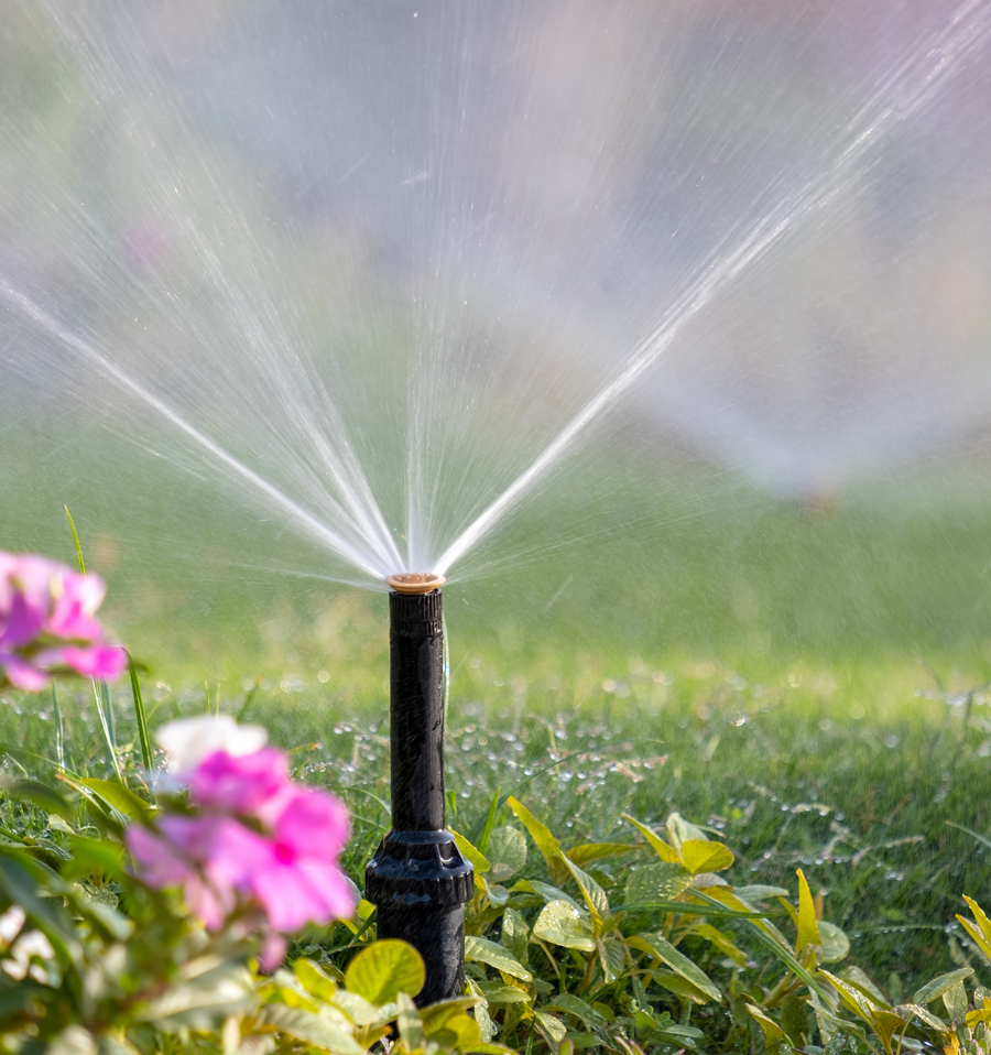 sprinkler system