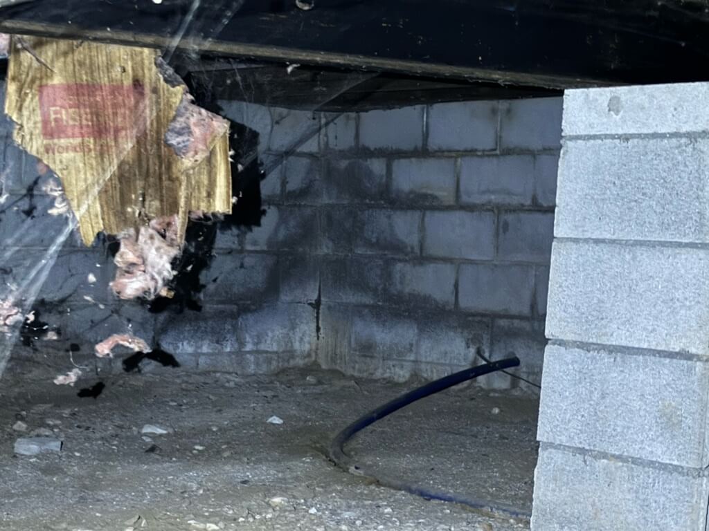 Dryden Twp MI Crawlspace Encapsulation & Basement Repair