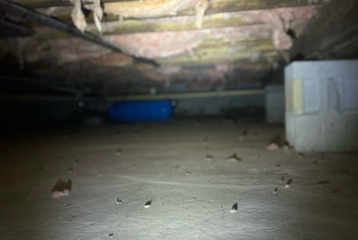 Caro MI in Tuscola County - Crawlspace Repair