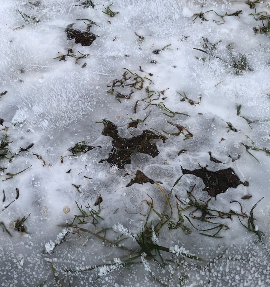 frozen ground