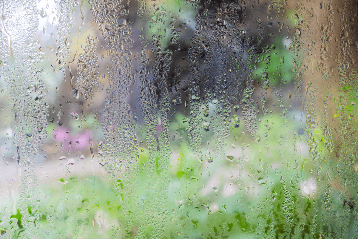How to Protect Your Basement and Crawl Space This Summer