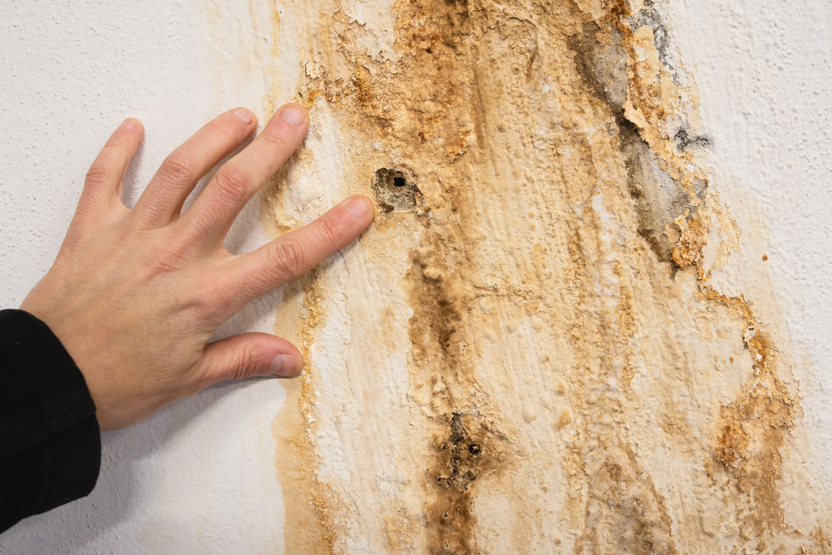 basement waterproofing needed in basement crack